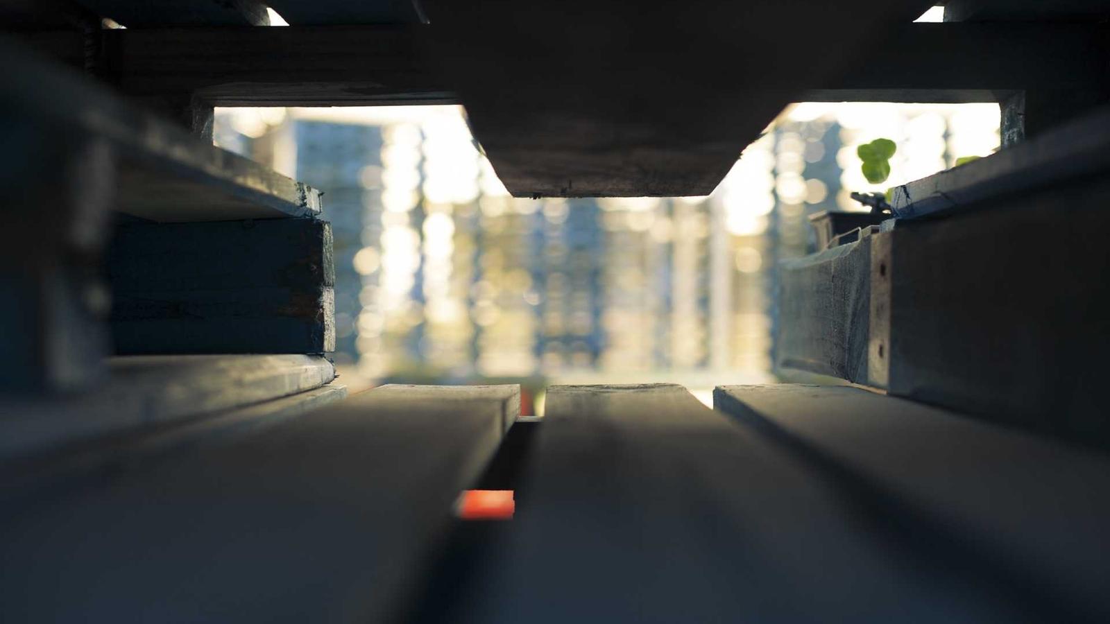 Baggage Cost Estimator