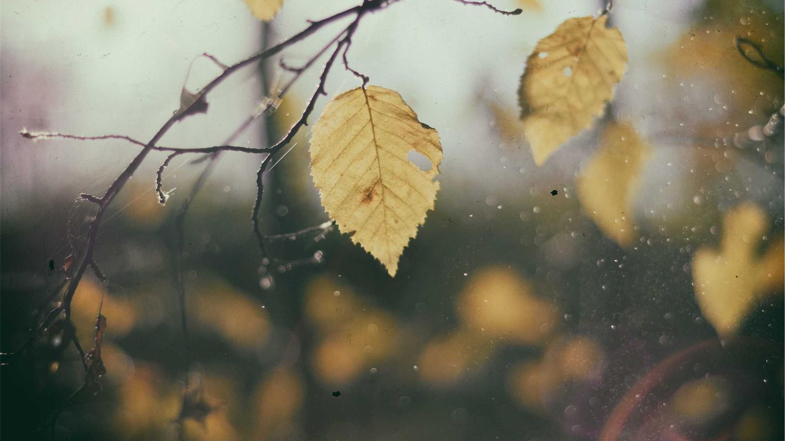 London to Australia Flights: London (LHR) to SYD, MEL, BNE, PER, ADL